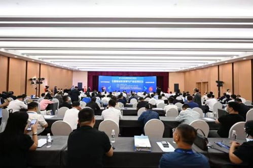 200余名中外專家共話石墨新材料與集成電路芯片設計及服務協(xié)同發(fā)展新圖景