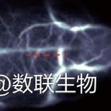 材料科學等多個領域都有著廣泛的應用,很多人在選擇熒光成像相關產品